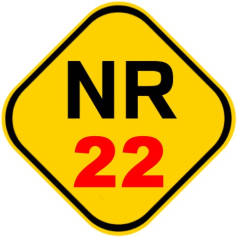 Novas Regras de Segurança (NRs) em 2026 - O que muda para a Categoria de Montagem Industrial na Mineração? Novas Regras de Segurança (NRs) em 2026 - O que muda para a Categoria de Montagem Industrial na Mineração?