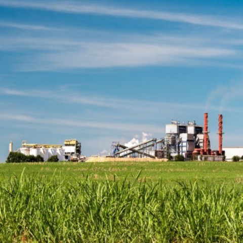 O novo perfil da indústria: a tecnologia e a força do trabalho industrial